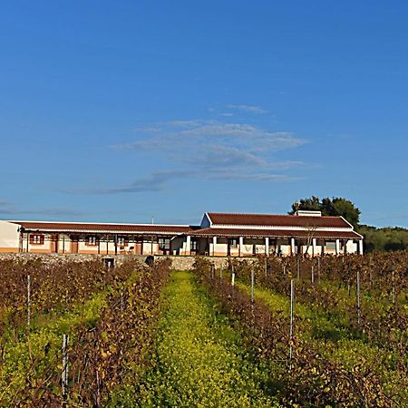Turismo Rural Pedremoura ξενώνας Vila Ruiva  Εξωτερικό φωτογραφία