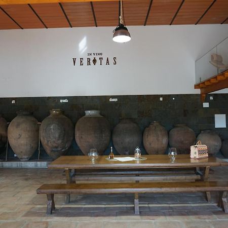 Turismo Rural Pedremoura ξενώνας Vila Ruiva  Εξωτερικό φωτογραφία