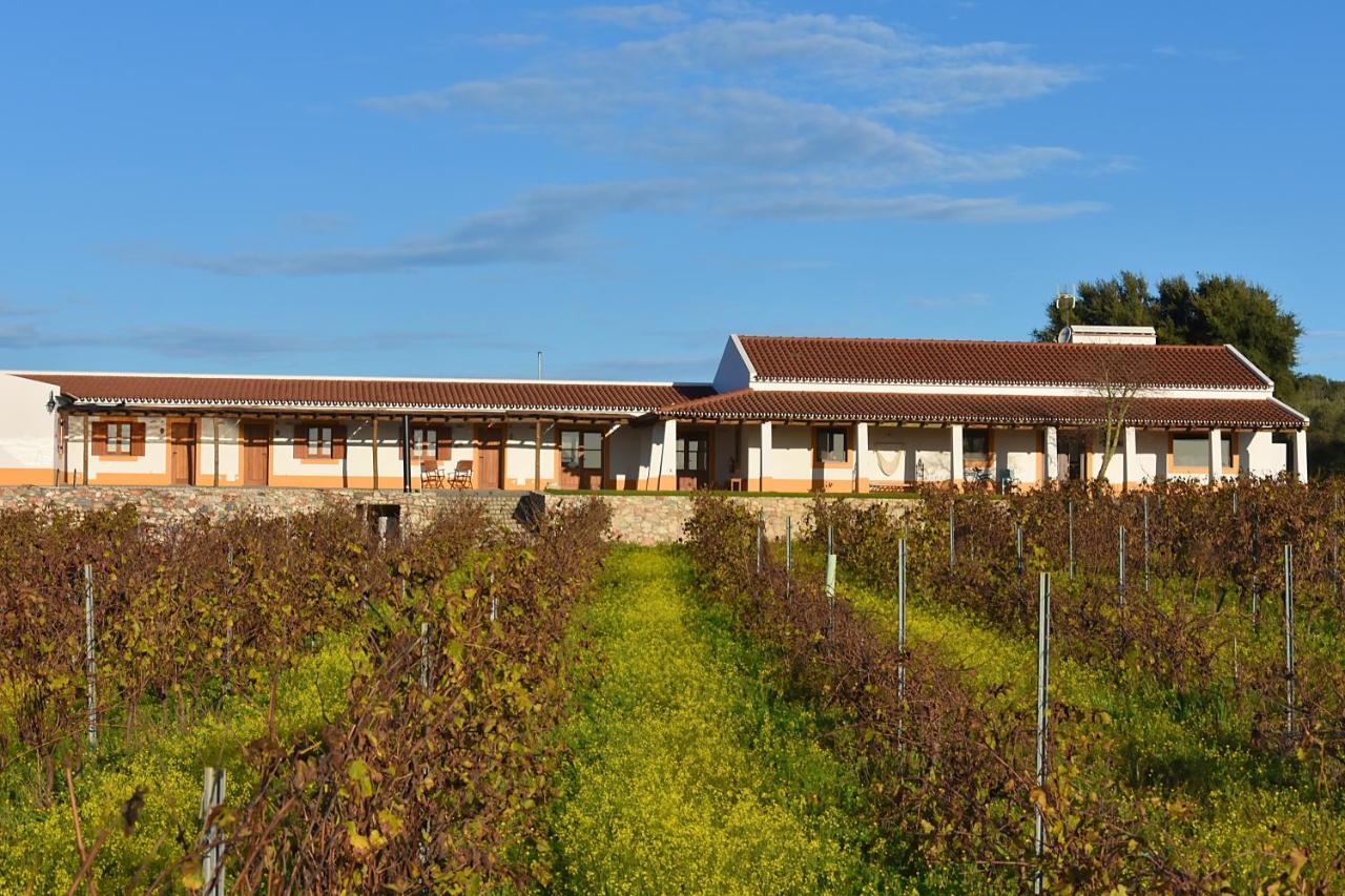Turismo Rural Pedremoura ξενώνας Vila Ruiva  Εξωτερικό φωτογραφία