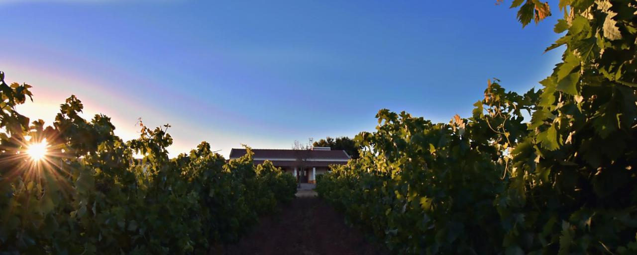 Turismo Rural Pedremoura ξενώνας Vila Ruiva  Εξωτερικό φωτογραφία