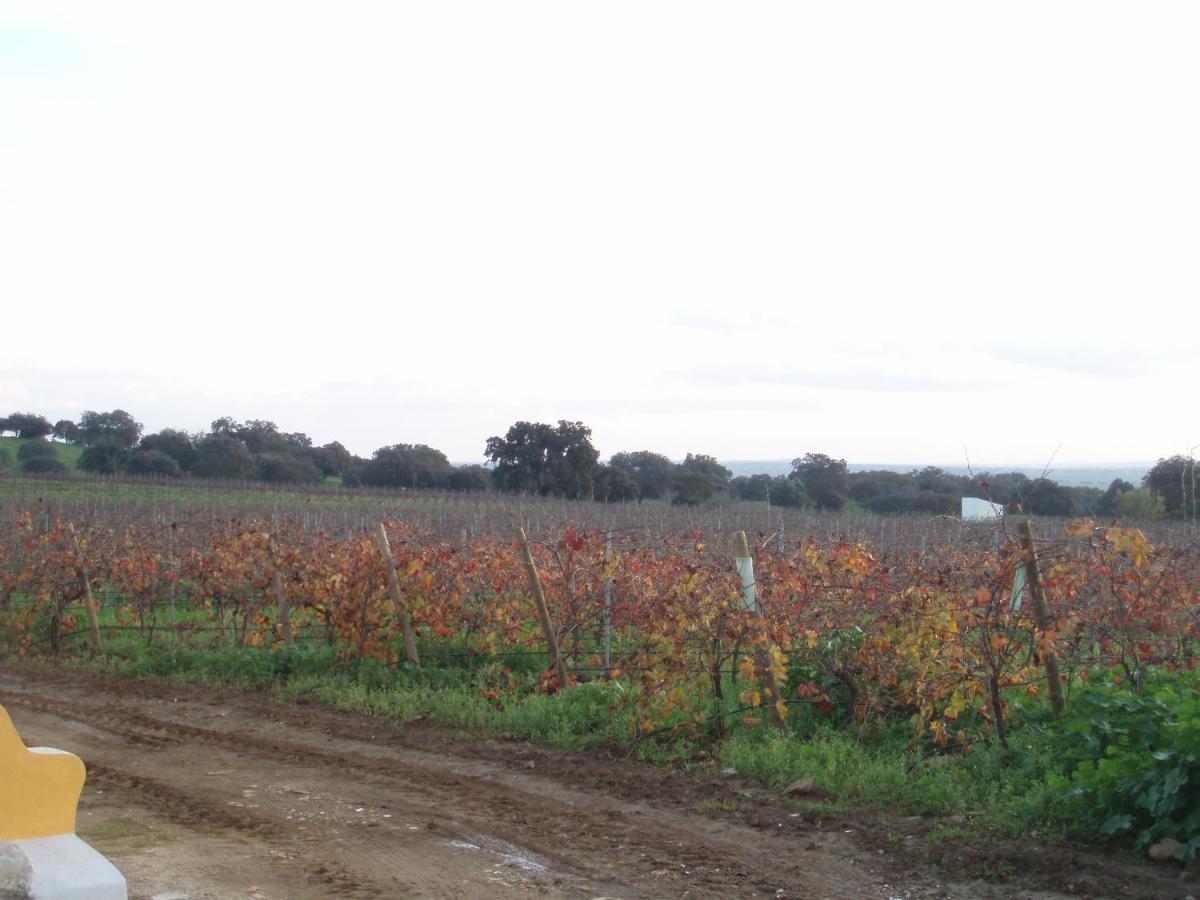 Turismo Rural Pedremoura ξενώνας Vila Ruiva  Εξωτερικό φωτογραφία